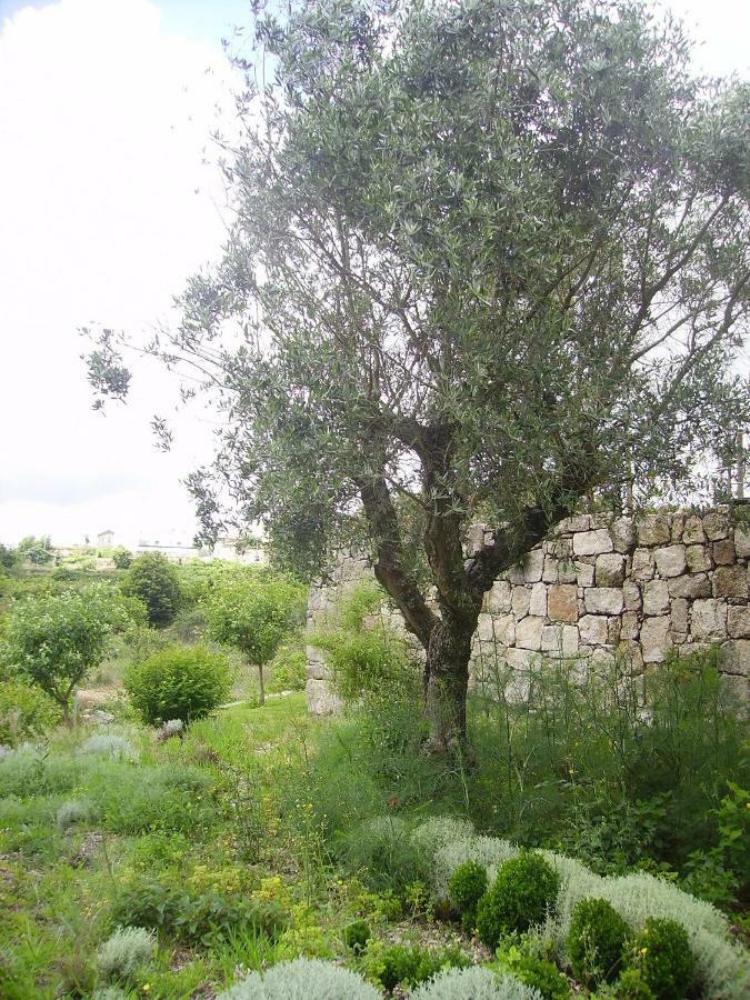 Oportonature Guilhabreu Exterior foto